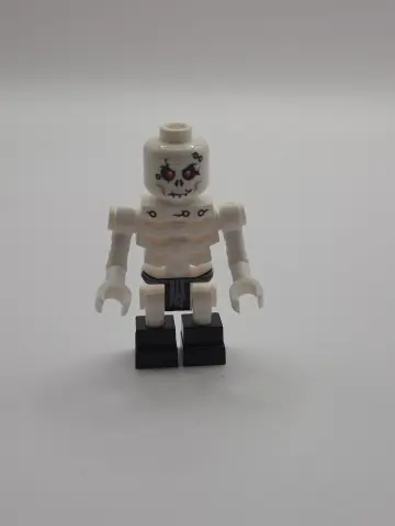 LEGO Minifigures cover