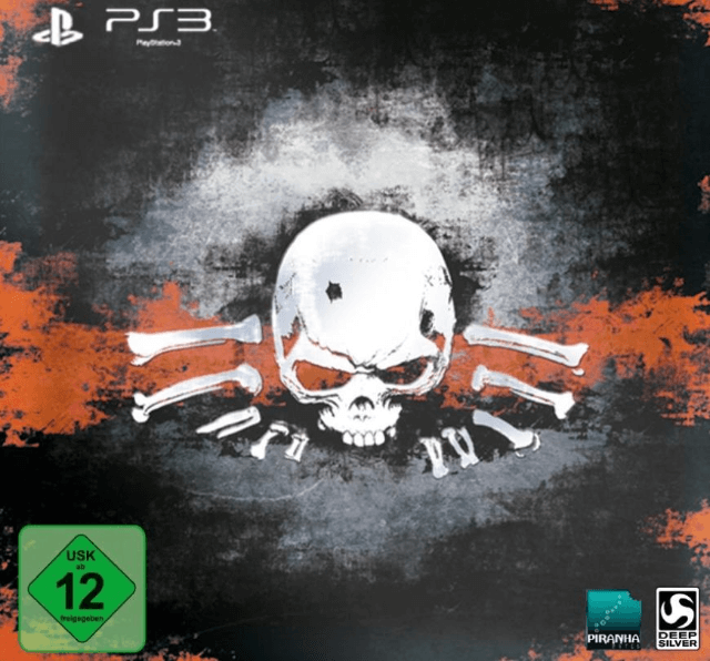 PS3 Risen 2: Dark Waters Collectors Edition cover